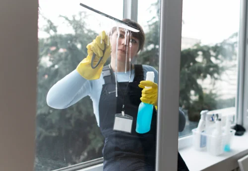 Nettoyage de vitres intérieures et extérieures à Cisternes-la-Forêt